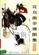 花鸟画步骤图集（1989 PDF版）