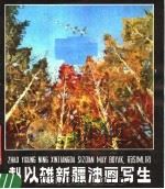 赵以雄新疆油画写生 1980 PDF电子版封面 M8098·346 赵以雄绘