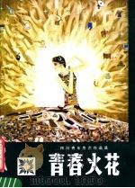 青春火花  四川青年美术作品选（1982 PDF版）