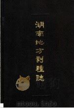 湖南地方剧种志丛书 2 辰河戏志 阳戏志 苗剧志 侗戏志 1989 PDF电子版封面 754040423X 湖南省戏曲研究所编