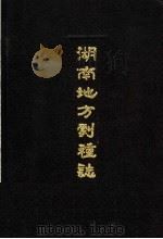湖南地方剧种志丛书 5 湘剧志,长沙花鼓戏志 1992 PDF电子版封面 7540509274 湖南省戏曲研究所编