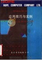 WINDOWS 386/486应用技巧与实例：充分发挥386/486的功能（ PDF版）