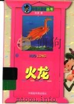 火龙 1998 PDF电子版封面 7506108461 冰波著