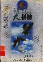 大拼搏 1998 PDF电子版封面 7530721542 方敏著
