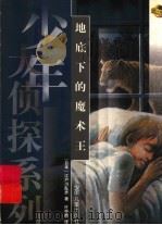 地底下的魔术王 1999 PDF电子版封面 753243995X (日)江户川乱步著;叶荣鼎译