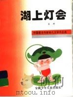 湖上灯会（1995 PDF版）