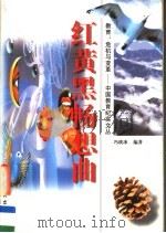 红黄黑畅想曲（1999 PDF版）