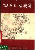 牡丹白描图集（1990 PDF版）