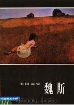 外国美术介绍  美国画家魏斯（1983 PDF版）
