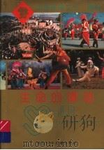 中华民间文化·舞蹈 生命的律动 1995 PDF电子版封面 7537612625 罗雄岩编