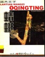 蓝天王子 蜻蜓 图集 1999 PDF电子版封面 7536643888 (韩)金恩爱等撰文;朴海燕译