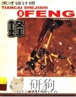 天才设计师 蜂 图集 1999 PDF电子版封面 7536643950 (韩)金恩爱等撰文;朴红莲译