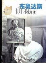 布鲁达斯 石膏像 1999 PDF电子版封面 7532222500 陈立平编绘