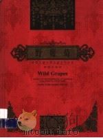 野葡萄  中华儿童文学名家名作书系（1998 PDF版）