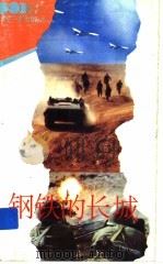 钢铁的长城 1994 PDF电子版封面 7539508159 许赞霖,李大春著