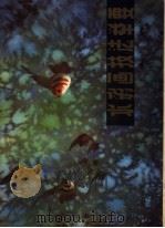 水彩画技法举要（1983 PDF版）