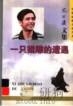 一只猎雕的遭遇 1997 PDF电子版封面 7534617421 沈石溪著