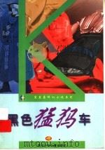 黑色猛犸车 1997 PDF电子版封面 7536518536 王晓达著