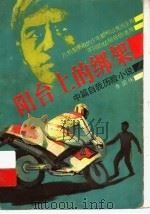 阳台上的绑架  中篇自我历险小说（1993 PDF版）