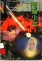 蝙蝠少年 1997 PDF电子版封面 7539714611 杨鹏著
