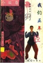 我们正年轻（1998 PDF版）