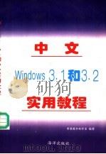 中文Windows3.1和3.2实用教程 1996 PDF电子版封面 7502741534 北京希望电脑公司编著