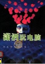 潇洒玩电脑   1996  PDF电子版封面  7309016084  谢磊等编 