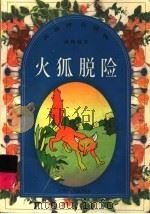 火狐脱险 1998 PDF电子版封面 7534619718 徐泉,刘生远编