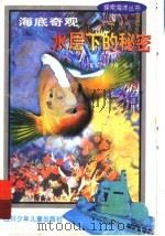 海底奇观 水层下的秘密 1998 PDF电子版封面 7536519613 贾泓,彭丹锋编著