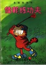佳菲练功夫 1991 PDF电子版封面 7805706654 吉姆·戴维斯编