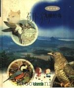 飞翔的鸟（1998 PDF版）