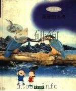 美丽的水鸟（1998 PDF版）