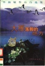 大雁落脚的地方  毕淑敏作品自选集（1998 PDF版）