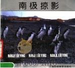 南极掠影 1991 PDF电子版封面 7542804812 李文祺编