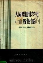 大同煤田侏罗纪孢粉图鉴 永定庄矿、煤峪口矿 1959 PDF电子版封面 15035·836 北京煤炭科学研究院编著