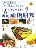 我的动物朋友  昆虫（ PDF版）