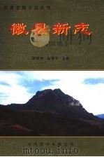 徽县新志  民国版（ PDF版）