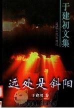 远处是斜阳 十集电视连续剧文学剧本 1998 PDF电子版封面 7805998272 于建初著