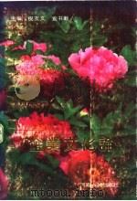 企业文化论 1991 PDF电子版封面 7215014746 祝友文,袁书勤主编