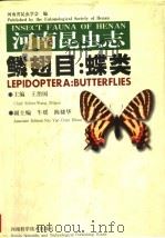 河南昆虫志·鳞翅目:蝶类 1998 PDF电子版封面 7534921252 王治国主编