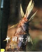 中国竹谱 1988 PDF电子版封面 7030002008 陈守良,贾良智主编