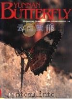 云南蝴蝶 1995 PDF电子版封面 7503813474 云南省生态经济学会等主编