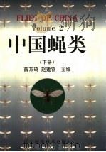 中国蝇类 下 1996 PDF电子版封面 7538119809 薛万琦,赵建铭主编