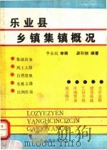 乐业县乡镇集镇概况（1990 PDF版）