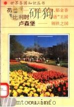 荷兰  风车  木鞋  郁金香  比利时  “双语”王国  卢森堡  钢铁之国   1994  PDF电子版封面  7800276260  张林初编著 
