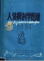 人体解剖学图谱（1978 PDF版）