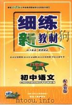 细练新教材 配人教版 九年级语文（ PDF版）