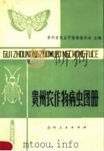 贵州农作物病虫图册（1984 PDF版）