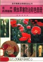 花卉  药用植物病虫草害防治彩色图册（1994 PDF版）