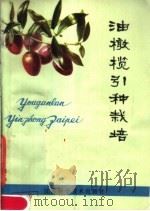 油橄榄引种栽培 1978 PDF电子版封面 16196·004 江苏省植物研究所编著